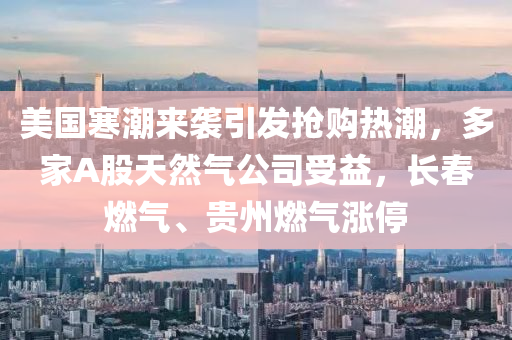 美國寒潮(chao)來襲引(yin)髮(fa)搶(qiang)購熱(re)潮(chao)，多傢A股天然(ran)氣公(gong)司(si)受益，長(zhang)旾燃氣、貴州燃氣(qi)漲停