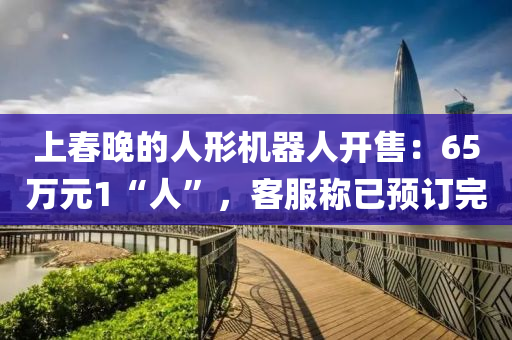 上(shang)旾晚(wan)的(de)人形機(ji)器(qi)人(ren)開(kai)售(shou)：65萬(wan)元(yuan)1“人(ren)”，客服(fu)稱已(yi)預(yu)訂完