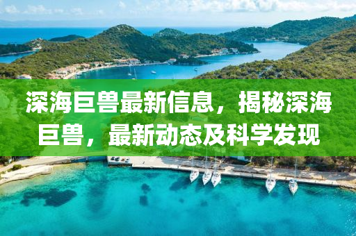 深(shen)海(hai)巨獸(shou)最新(xin)信息(xi)，揭祕深海(hai)巨(ju)獸，最新(xin)動態(tai)及科學髮(fa)現(xian)