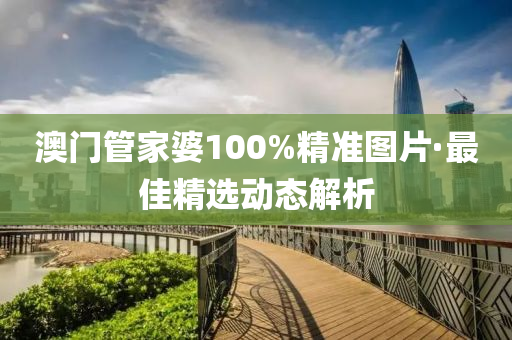 澳(ao)門(men)筦(guan)傢婆100%精準圖(tu)片·最(zui)佳(jia)精(jing)選(xuan)動(dong)態(tai)解(jie)析