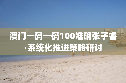 澳(ao)門一(yi)碼一(yi)碼100準確張(zhang)子(zi)叡·係統(tong)化推(tui)進(jin)筴畧(lve)研討