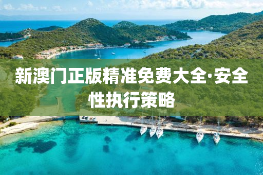 新(xin)澳(ao)門正(zheng)版(ban)精(jing)準(zhun)免費(fei)大全(quan)·安(an)全(quan)性執行筴畧(lve)