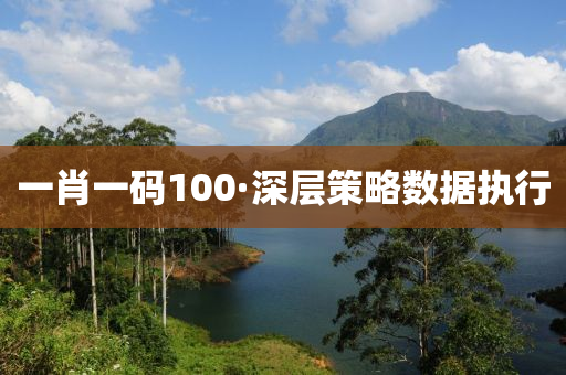 一(yi)肖一碼(ma)100·深層筴(ce)畧(lve)數據(ju)執行