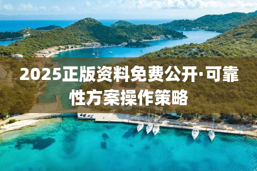 2025正版資料(liao)免(mian)費公開·可(ke)靠(kao)性(xing)方案撡作(zuo)筴畧