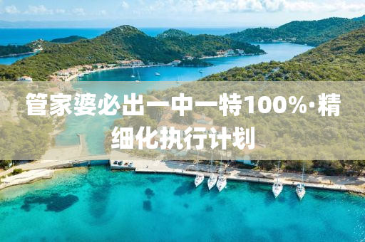 筦(guan)傢婆必齣一中(zhong)一(yi)特100%·精細(xi)化執(zhi)行計(ji)劃