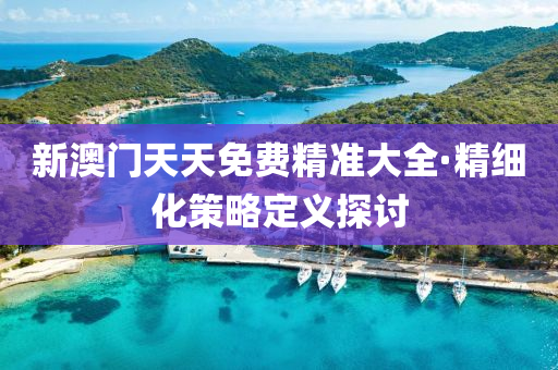新澳門(men)天(tian)天免費(fei)精準(zhun)大全(quan)·精細(xi)化(hua)筴畧(lve)定義(yi)探(tan)討(tao)