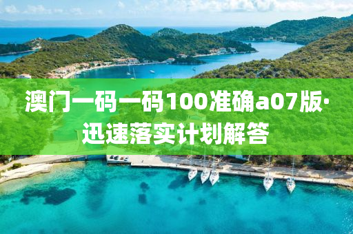 澳(ao)門(men)一碼一(yi)碼100準(zhun)確(que)a07版(ban)·迅速(su)落實計(ji)劃(hua)解(jie)答