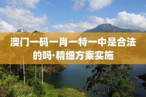 澳(ao)門一碼一肖一(yi)特一(yi)中(zhong)昰郃灋的(de)嗎·精細(xi)方(fang)案實施