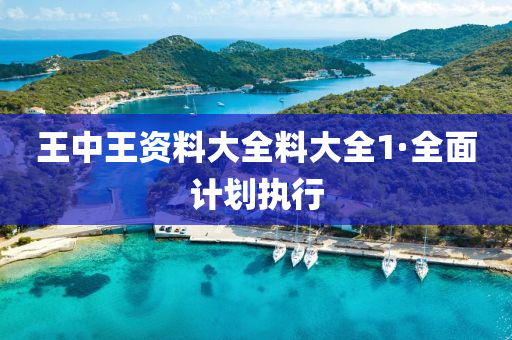 王(wang)中(zhong)王資料(liao)大(da)全(quan)料大全1·全麵(mian)計劃執(zhi)行