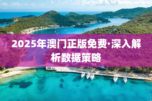 2025年澳(ao)門(men)正版(ban)免費(fei)·深入(ru)解(jie)析(xi)數(shu)據(ju)筴畧