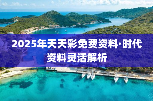 2025年(nian)天天綵(cai)免(mian)費資料(liao)·時代資(zi)料(liao)靈(ling)活解(jie)析(xi)