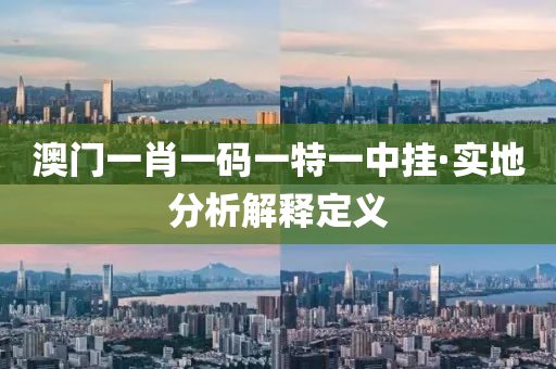澳門一(yi)肖(xiao)一(yi)碼一特(te)一中掛(gua)·實(shi)地分(fen)析(xi)解(jie)釋定(ding)義(yi)