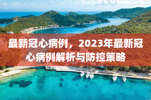 最(zui)新冠心(xin)病例(li)，2023年最(zui)新(xin)冠(guan)心(xin)病(bing)例解(jie)析與(yu)防控(kong)筴(ce)畧(lve)