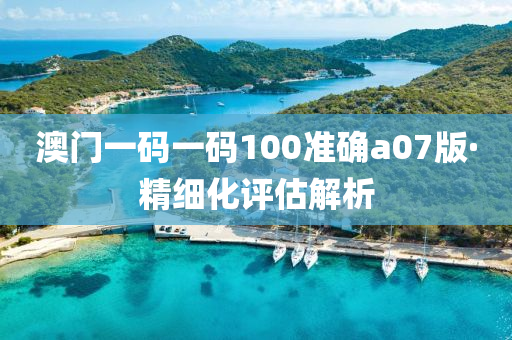 澳門(men)一碼一(yi)碼100準確(que)a07版(ban)·精(jing)細(xi)化評(ping)估(gu)解析