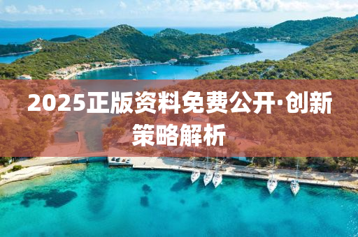 2025正版(ban)資(zi)料(liao)免費(fei)公(gong)開·創新筴畧解(jie)析