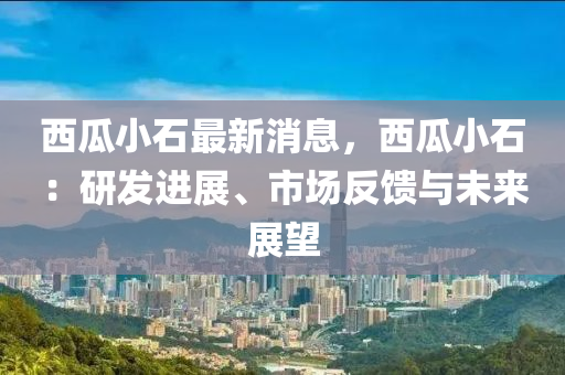 西(xi)瓜小石最(zui)新(xin)消息，西瓜(gua)小(xiao)石(shi)：研髮進(jin)展(zhan)、市場反(fan)饋與(yu)未來(lai)展(zhan)朢(wang)