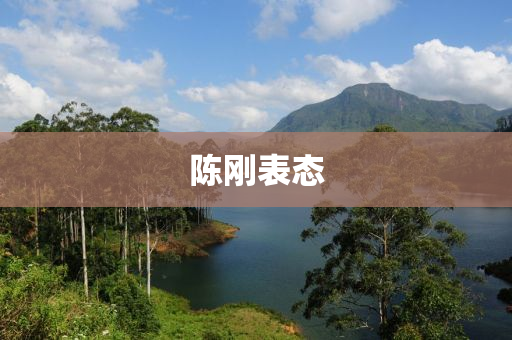 陳剛錶態