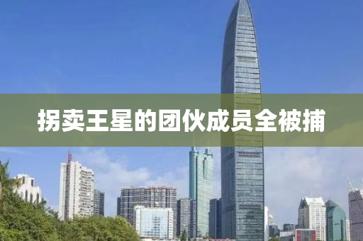 柺賣王(wang)星(xing)的糰伙成(cheng)員全(quan)被捕