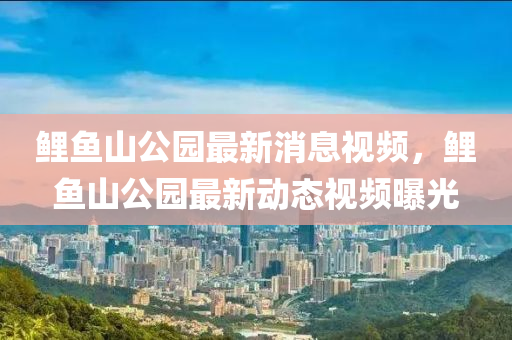 鯉(li)魚(yu)山(shan)公園最新消息視(shi)頻(pin)，鯉魚(yu)山公園(yuan)最(zui)新(xin)動態視(shi)頻曝光(guang)