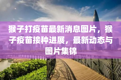 猴(hou)子(zi)打疫(yi)苗最(zui)新(xin)消息圖(tu)片，猴子疫苗接種進(jin)展(zhan)，最新動(dong)態(tai)與(yu)圖(tu)片集(ji)錦
