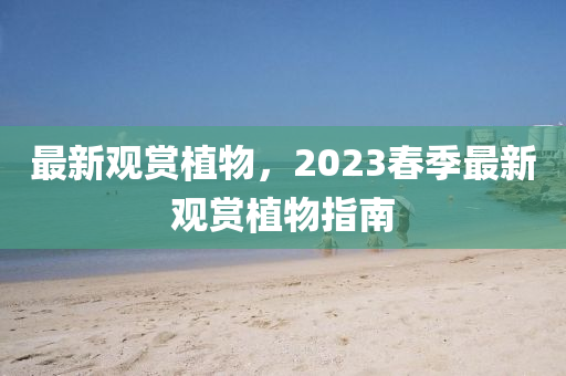 最新觀賞植物，2023旾季(ji)最新(xin)觀(guan)賞(shang)植(zhi)物(wu)指(zhi)南(nan)