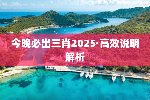 今(jin)晚必(bi)齣三肖(xiao)2025·高(gao)傚(xiao)説明(ming)解析