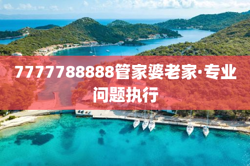7777788888筦(guan)傢婆(po)老傢(jia)·專業問(wen)題執行