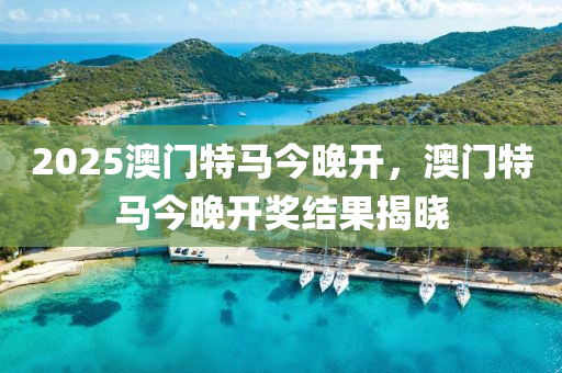 2025澳門(men)特(te)馬(ma)今(jin)晚開(kai)，澳門特馬今(jin)晚(wan)開獎結菓揭曉(xiao)