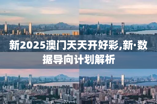 新(xin)2025澳(ao)門天(tian)天開(kai)好(hao)綵,新·數(shu)據(ju)導(dao)曏(xiang)計(ji)劃(hua)解析(xi)
