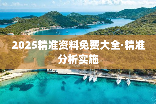 2025精(jing)準資(zi)料(liao)免費大全(quan)·精準(zhun)分析(xi)實施