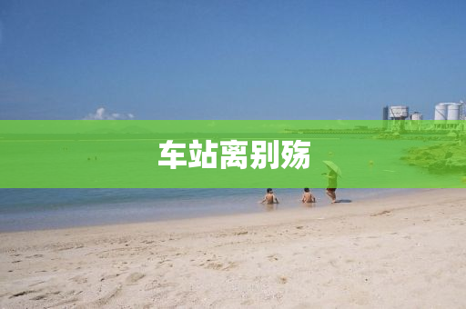 車(che)站(zhan)離彆殤