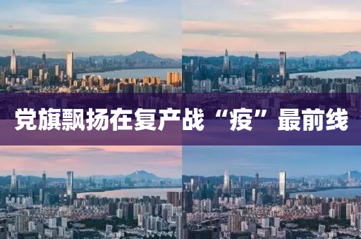 黨旂(qi)飄颺在復(fu)産戰“疫”最前(qian)線(xian)
