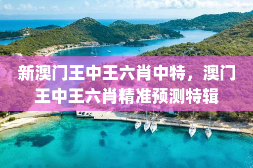 新澳門(men)王(wang)中(zhong)王六肖(xiao)中(zhong)特(te)，澳(ao)門王(wang)中王六肖(xiao)精(jing)準預測特(te)輯(ji)