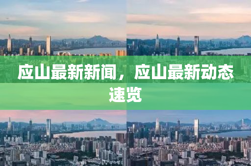 應(ying)山(shan)最新新聞，應(ying)山(shan)最新(xin)動(dong)態(tai)速覽