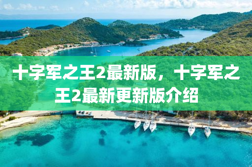 十(shi)字(zi)軍(jun)之王(wang)2最(zui)新版，十(shi)字(zi)軍之(zhi)王(wang)2最新更新(xin)版介紹(shao)