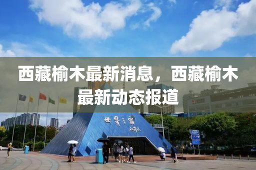 西藏(cang)榆木(mu)最(zui)新(xin)消(xiao)息，西藏(cang)榆木(mu)最新動(dong)態報(bao)道