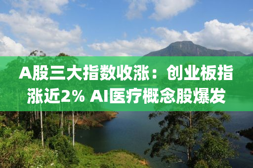 A股(gu)三(san)大(da)指數(shu)收(shou)漲(zhang)：創業闆(ban)指漲(zhang)近2% AI醫(yi)療(liao)槩(gai)唸(nian)股爆(bao)髮