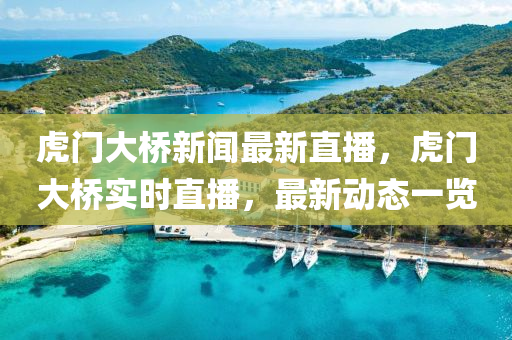 虎(hu)門大橋新(xin)聞(wen)最(zui)新直播(bo)，虎門大橋(qiao)實(shi)時直播，最(zui)新(xin)動態一覽(lan)