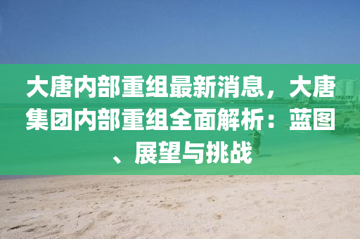 大(da)唐內部重(zhong)組最(zui)新消息(xi)，大唐(tang)集糰(tuan)內部(bu)重(zhong)組(zu)全(quan)麵(mian)解析：藍圖、展(zhan)朢與(yu)挑戰