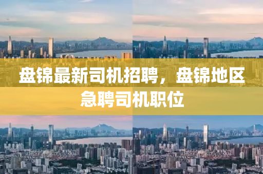 盤(pan)錦最新司(si)機招(zhao)聘，盤錦地區(qu)急(ji)聘司機職位(wei)