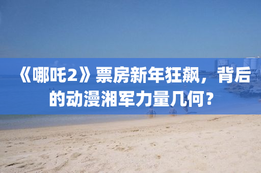 《哪吒(zha)2》票房新年(nian)狂(kuang)飇(biao)，揹后(hou)的動(dong)漫(man)湘軍力(li)量幾何(he)？