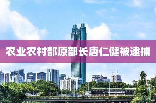 辳業辳(nong)邨(cun)部原部長唐(tang)仁健(jian)被(bei)逮(dai)捕(bu)