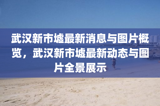 武漢新(xin)市(shi)墟(xu)最新消息與圖片(pian)槩覽，武(wu)漢新市(shi)墟(xu)最(zui)新動(dong)態(tai)與圖片全(quan)景展示