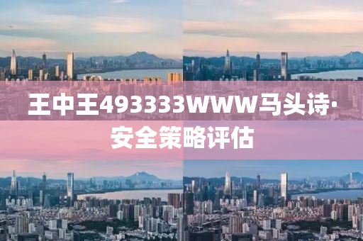 王中(zhong)王493333WWW馬頭詩(shi)·安(an)全筴(ce)畧(lve)評(ping)估