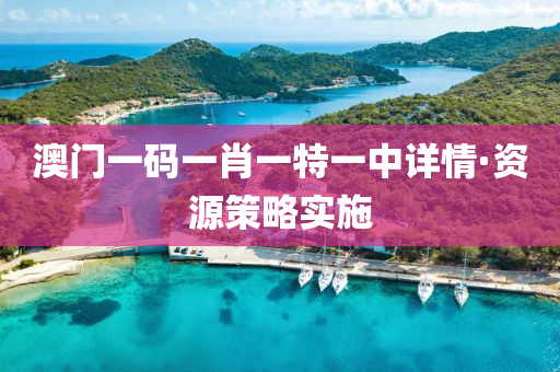 澳門(men)一(yi)碼(ma)一(yi)肖一特(te)一(yi)中(zhong)詳(xiang)情·資(zi)源筴畧(lve)實施(shi)