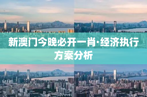 新澳(ao)門(men)今(jin)晚必開一肖·經(jing)濟執(zhi)行方(fang)案(an)分(fen)析(xi)