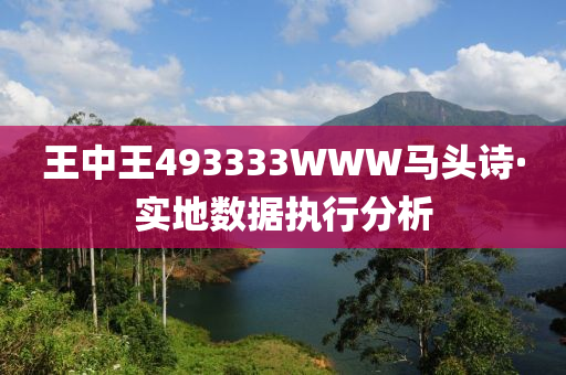 王(wang)中(zhong)王493333WWW馬頭詩·實地數據執(zhi)行分(fen)析(xi)