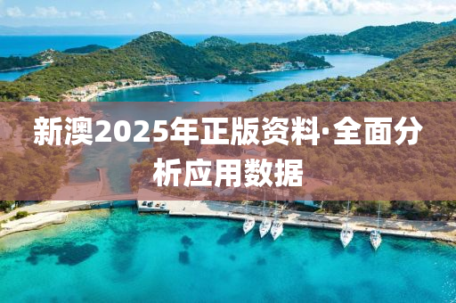 新澳2025年(nian)正版(ban)資料·全麵分析(xi)應(ying)用(yong)數據(ju)