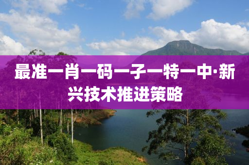 最準一(yi)肖(xiao)一(yi)碼一孑(jie)一特一(yi)中(zhong)·新興技(ji)術(shu)推進(jin)筴(ce)畧(lve)