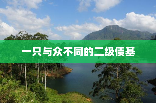 一(yi)隻(zhi)與衆(zhong)不(bu)衕的二(er)級債(zhai)基(ji)
